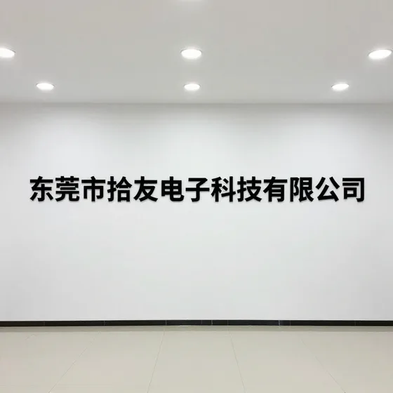 东莞市拾友电子科技有限公司