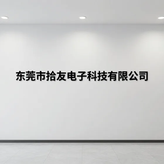 东莞市拾友电子科技有限公司